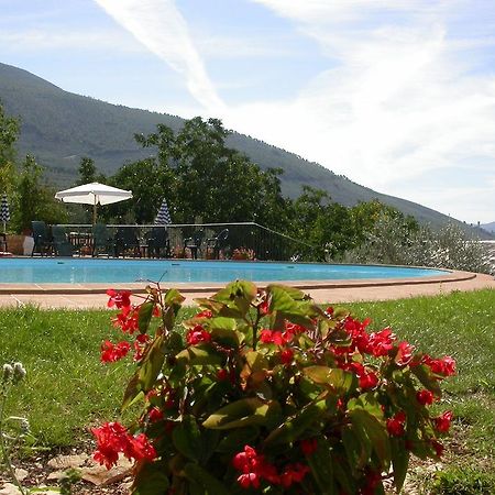 Agriturismo I Mandorli Trevi Exterior photo